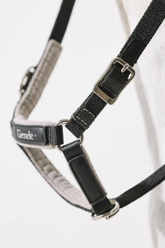 choosing gentle leader halter