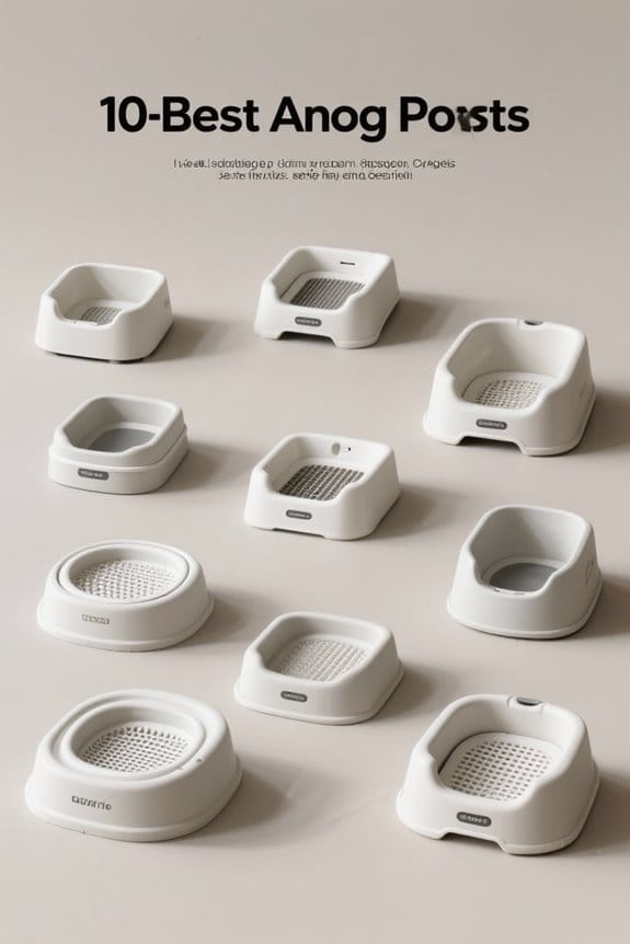 indoor dog potty solutions