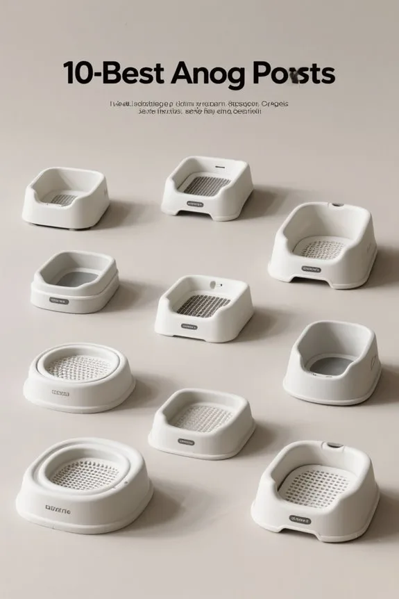 indoor dog potty solutions