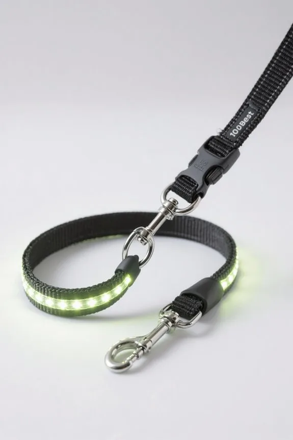 led dog leashes review guide