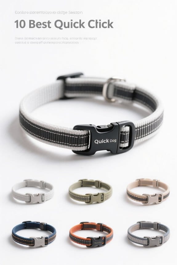 quick release dog collars
