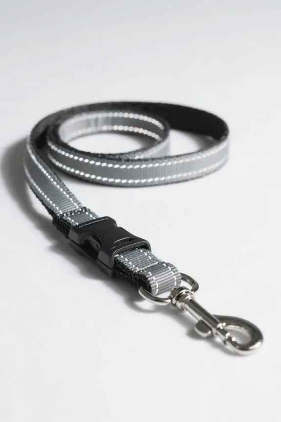 reflective leash visibility considerations