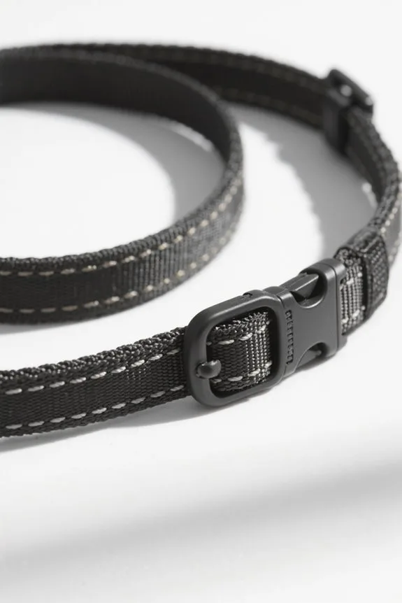 durable dog collar considerations